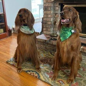 Meet your Posher, Mary